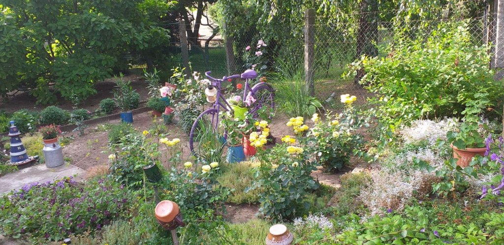 Benéné Szabó Henriett kertje 03